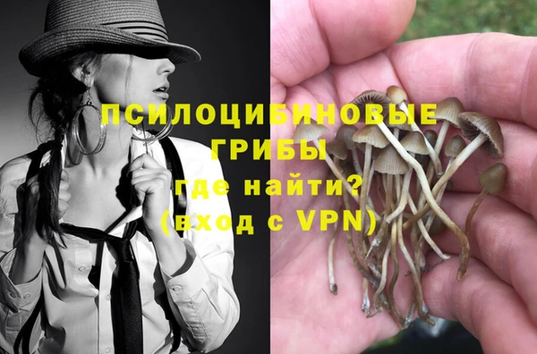 метадон Алексин