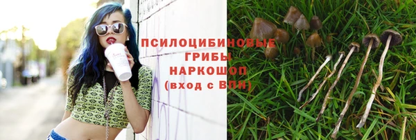 крисы Алексеевка