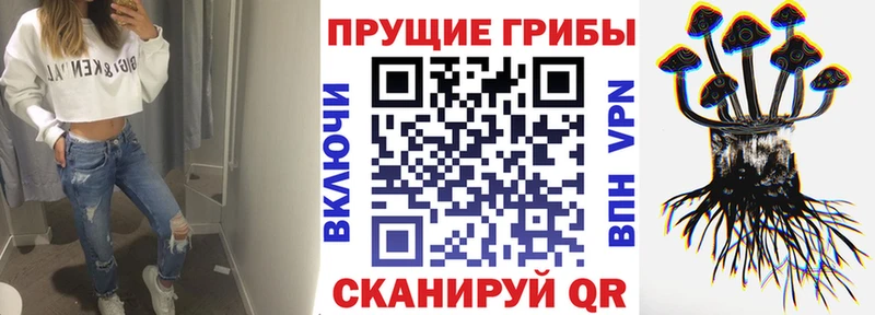 Псилоцибиновые грибы GOLDEN TEACHER  ссылка на мегу зеркало  Заинск 